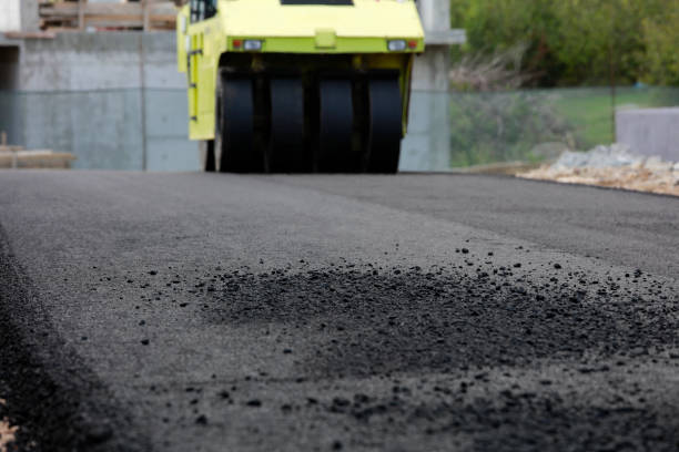 Best Driveway Paving Contractor  in Bayboro, NC