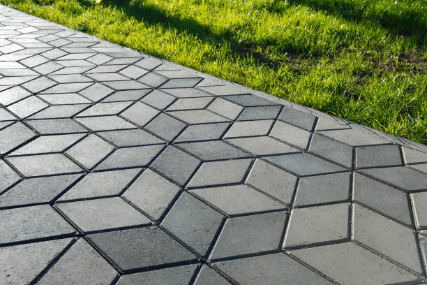Best Affordable Driveway Paving  in Bayboro, NC