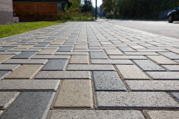 Best Commercial Driveway Pavers  in Bayboro, NC