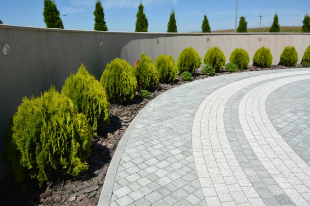 Best Brick Driveway Pavers  in Bayboro, NC