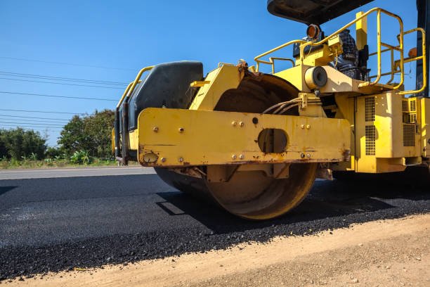 Best Local Driveway Pavers  in Bayboro, NC